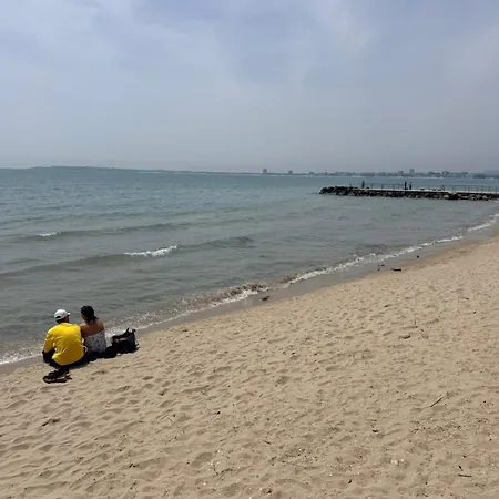 Appartement Sea-view In Royal Palm Near *